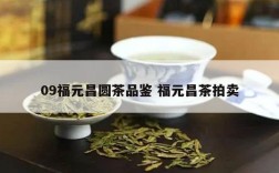 09福元昌圆茶品鉴 福元昌茶拍卖