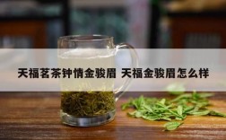 天福茗茶钟情金骏眉 天福金骏眉怎么样