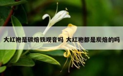 大红袍是碳焙铁观音吗 大红袍都是炭焙的吗
