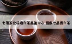 七蒲茶业福鼎白茶品鉴中心 福鼎七品香白茶