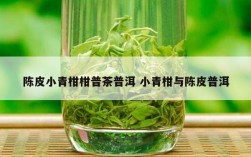 陈皮小青柑柑普茶普洱 小青柑与陈皮普洱