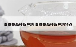 白茶茶品种及产地 白茶茶品种及产地特点