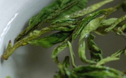 生肖属相虎的在2022年的运势怎