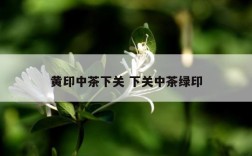 黄印中茶下关 下关中茶绿印