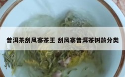 普洱茶刮风寨茶王 刮风寨普洱茶树龄分类