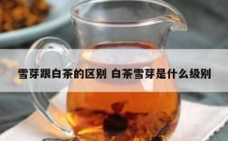雪芽跟白茶的区别 白茶雪芽是什么级别