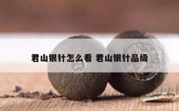 君山银针怎么看 君山银针品级