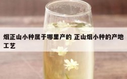 烟正山小种属于哪里产的 正山烟小种的产地工艺