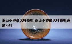 正山小种是大叶茶嘛 正山小种是大叶茶嘛还是小叶