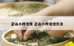 正山小种泡发 正山小种浸泡方法