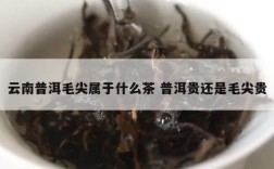 云南普洱毛尖属于什么茶 普洱贵还是毛尖贵