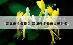 普洱茶上长黄点 普洱茶上长黄点是什么