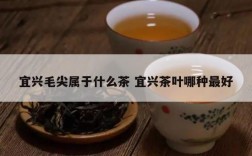 宜兴毛尖属于什么茶 宜兴茶叶哪种最好