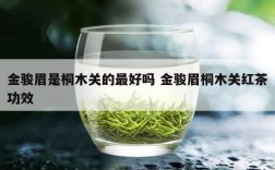 金骏眉是桐木关的最好吗 金骏眉桐木关红茶功效