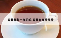龙井都长一样的吗 龙井有几种品种