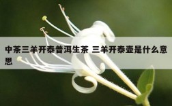 中茶三羊开泰普洱生茶 三羊开泰壶是什么意思