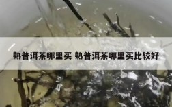 熟普洱茶哪里买 熟普洱茶哪里买比较好