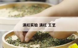 滇红实验 滇红 工艺