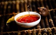 合和昌普洱茶最新价格