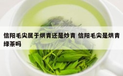 信阳毛尖属于烘青还是炒青 信阳毛尖是烘青绿茶吗
