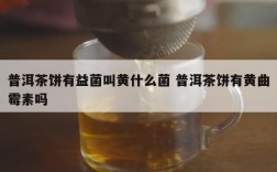 普洱茶饼有益菌叫黄什么菌 普洱茶饼有黄曲霉素吗