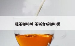 粗茶咖啡碱 茶碱合成咖啡囡