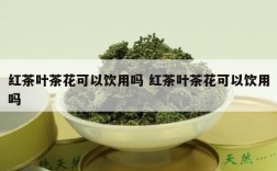红茶叶茶花可以饮用吗 红茶叶茶花可以饮用吗