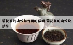 菊花茶的功效与作用时候喝 菊花茶的功效及禁忌