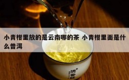 小青柑里放的是云南哪的茶 小青柑里面是什么普洱