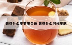 黄茶什么季节喝合适 黄茶什么时候施肥