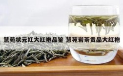 慧苑状元红大红袍品鉴 慧苑岩茶贡品大红袍