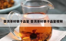 普洱茶碎银子品鉴 普洱茶碎银子品鉴视频