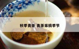 秋季青茶 青茶采摘季节