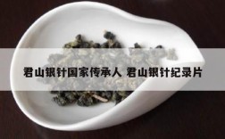 君山银针国家传承人 君山银针纪录片