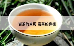 岩茶的来历 岩茶的鼻祖