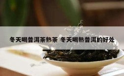 冬天喝普洱茶熟茶 冬天喝熟普洱的好处