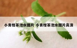 小青柑茶泡水图片 小青柑茶泡水图片高清