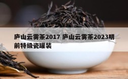 庐山云雾茶2017 庐山云雾茶2023明前特级瓷罐装