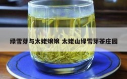 绿雪芽与太姥娘娘 太姥山绿雪芽茶庄园