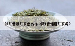 祁红香螺红茶怎么样 祁红香螺是红茶吗?