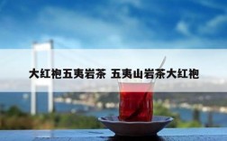 大红袍五夷岩茶 五夷山岩茶大红袍
